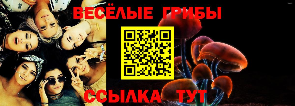 Псилоцибиновые грибы MAGIC MUSHROOMS  Вход с VPN  Тихвин 