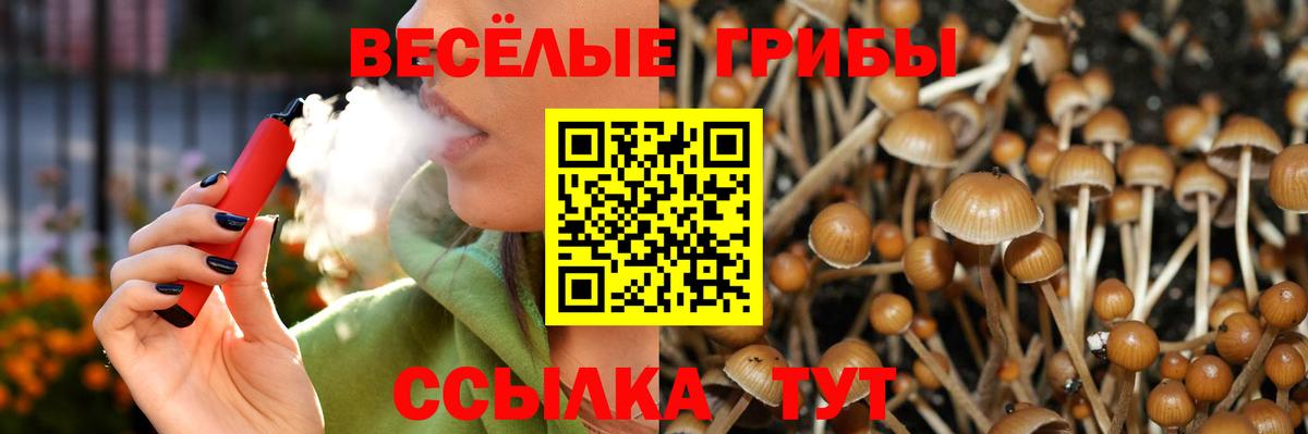 Псилоцибиновые грибы мухоморы Тихвин